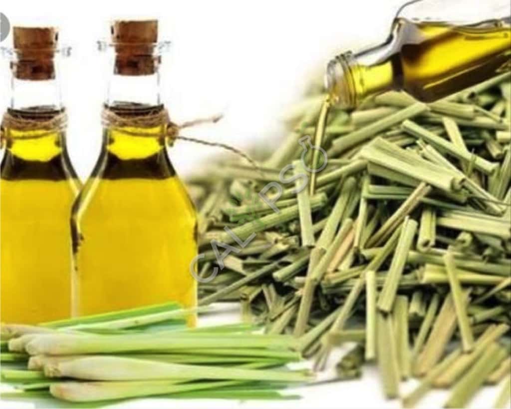 Aceite esencial de limoncillo